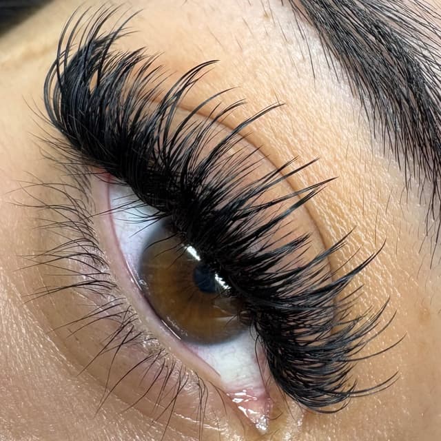 Lash Club Gold at Touch of Beauty by Megan in Stuart, FL